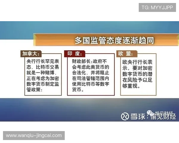 稳胆的意思是什么泛体育平台对比避坑防骗